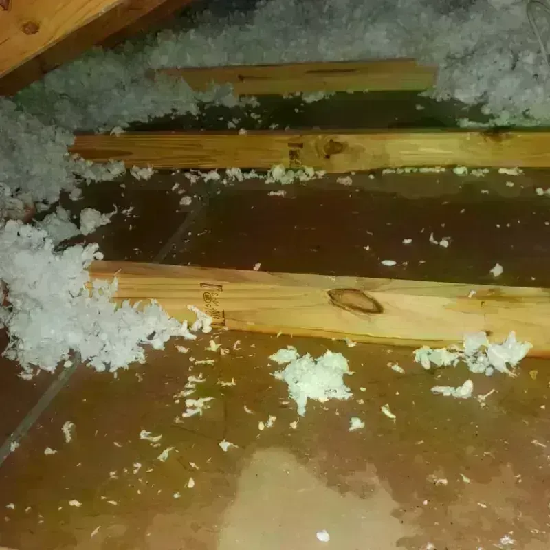 Attic Water Damage in Butte, MT