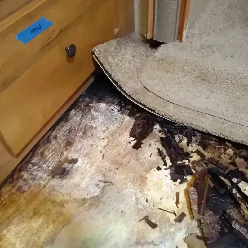 Wood Floor Water Damage in Butte, MT